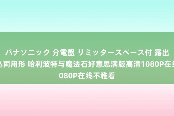 パナソニック 分電盤 リミッタースペース付 露出・半埋込両用形 哈利波特与魔法石好意思满版高清1080P在线不雅看