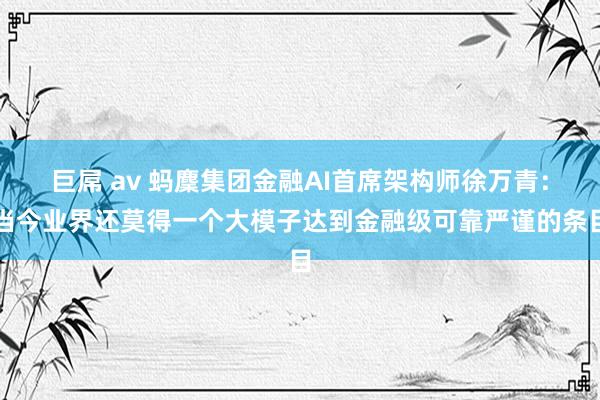 巨屌 av 蚂麇集团金融AI首席架构师徐万青：当今业界还莫得一个大模子达到金融级可靠严谨的条目