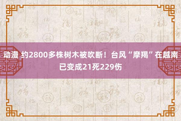 动漫 约2800多株树木被吹断！台风“摩羯”在越南已变成21死229伤