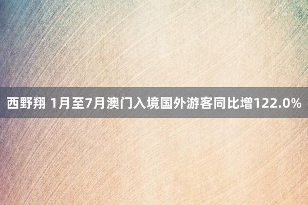 西野翔 1月至7月澳门入境国外游客同比增122.0%