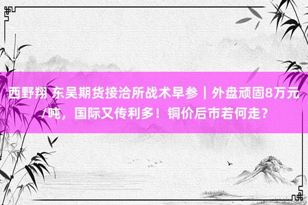 西野翔 东吴期货接洽所战术早参｜外盘顽固8万元/吨，国际又传利多！铜价后市若何走？