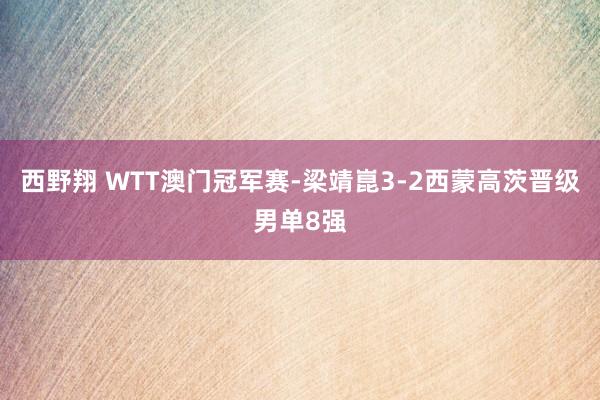 西野翔 WTT澳门冠军赛-梁靖崑3-2西蒙高茨晋级男单8强