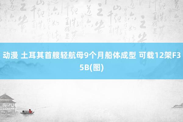 动漫 土耳其首艘轻航母9个月船体成型 可载12架F35B(图)