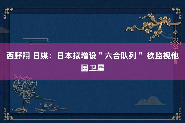 西野翔 日媒：日本拟增设＂六合队列＂ 欲监视他国卫星