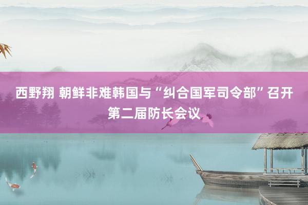 西野翔 朝鲜非难韩国与“纠合国军司令部”召开第二届防长会议