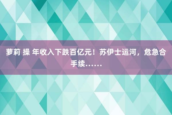 萝莉 操 年收入下跌百亿元！苏伊士运河，危急合手续……