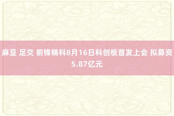 麻豆 足交 前锋精科8月16日科创板首发上会 拟募资5.87亿元