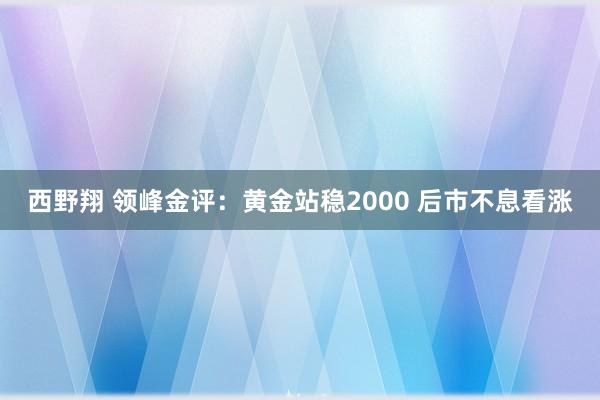 西野翔 领峰金评：黄金站稳2000 后市不息看涨