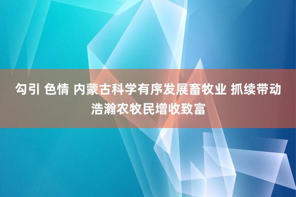 勾引 色情 内蒙古科学有序发展畜牧业 抓续带动浩瀚农牧民增收致富