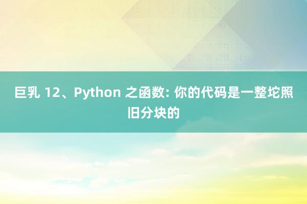 巨乳 12、Python 之函数: 你的代码是一整坨照旧分块的