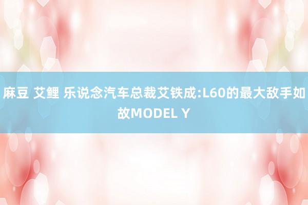 麻豆 艾鲤 乐说念汽车总裁艾铁成:L60的最大敌手如故MODEL Y