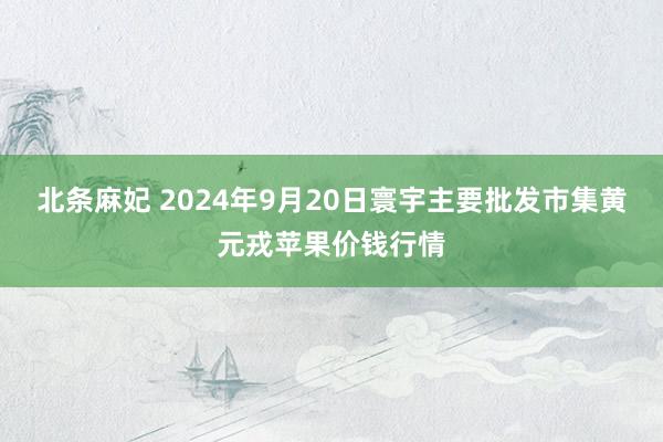 北条麻妃 2024年9月20日寰宇主要批发市集黄元戎苹果价钱行情