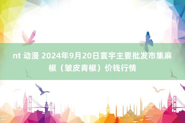 nt 动漫 2024年9月20日寰宇主要批发市集麻椒（皱皮青椒）价钱行情