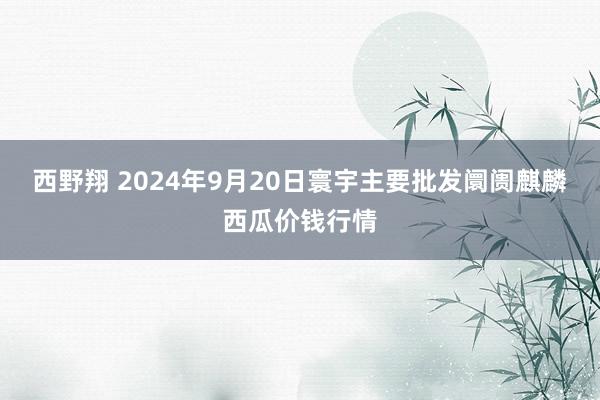 西野翔 2024年9月20日寰宇主要批发阛阓麒麟西瓜价钱行情