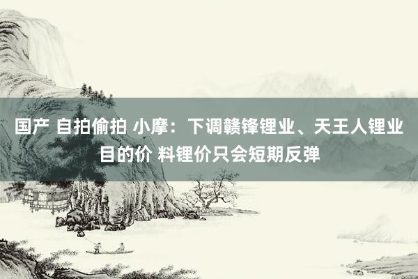 国产 自拍偷拍 小摩：下调赣锋锂业、天王人锂业目的价 料锂价只会短期反弹