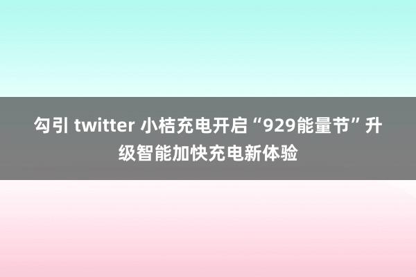 勾引 twitter 小桔充电开启“929能量节”升级智能加快充电新体验