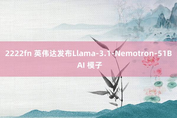 2222fn 英伟达发布Llama-3.1-Nemotron-51B AI 模子