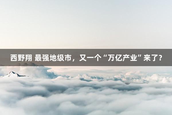 西野翔 最强地级市，又一个“万亿产业”来了？