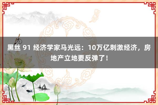 黑丝 91 经济学家马光远：10万亿刺激经济，房地产立地要反弹了！