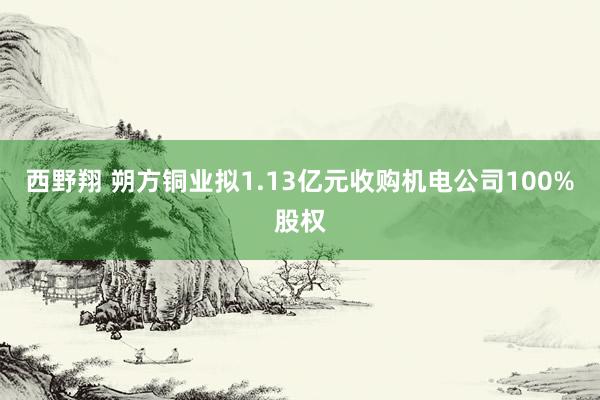 西野翔 朔方铜业拟1.13亿元收购机电公司100%股权