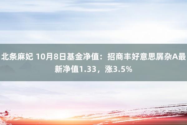 北条麻妃 10月8日基金净值：招商丰好意思羼杂A最新净值1.33，涨3.5%