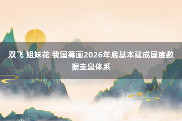 双飞 姐妹花 我国筹画2026年底基本建成国度数据圭臬体系