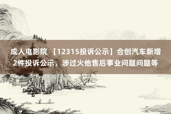 成人电影院 【12315投诉公示】合创汽车新增2件投诉公示，涉过火他售后事业问题问题等