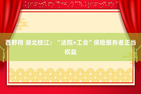 西野翔 湖北枝江：“法院+工会”保险服务者正当权益