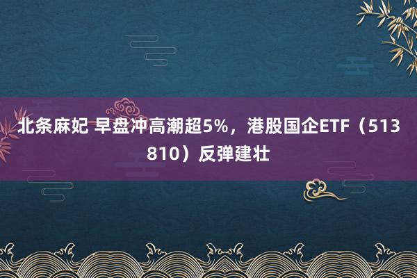 北条麻妃 早盘冲高潮超5%，港股国企ETF（513810）反弹建壮