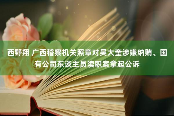 西野翔 广西稽察机关照章对吴大奎涉嫌纳贿、国有公司东谈主员渎职案拿起公诉