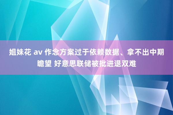 姐妹花 av 作念方案过于依赖数据、拿不出中期瞻望 好意思联储被批进退双难