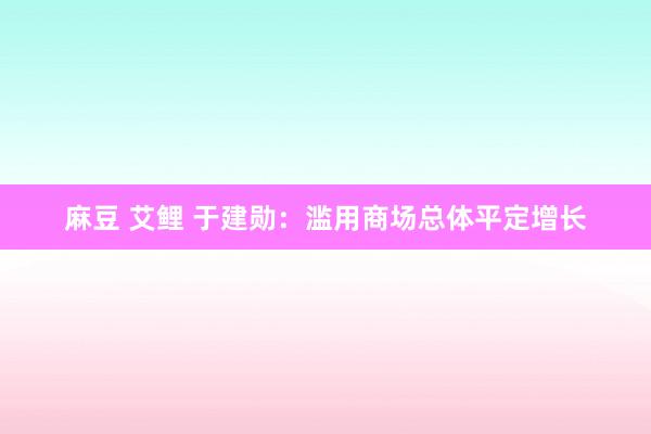 麻豆 艾鲤 于建勋：滥用商场总体平定增长