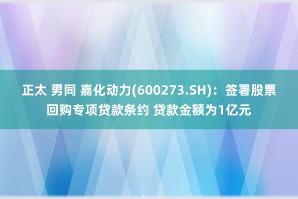 正太 男同 嘉化动力(600273.SH)：签署股票回购专项贷款条约 贷款金额为1亿元