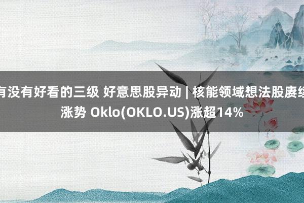 有没有好看的三级 好意思股异动 | 核能领域想法股赓续涨势 Oklo(OKLO.US)涨超14%