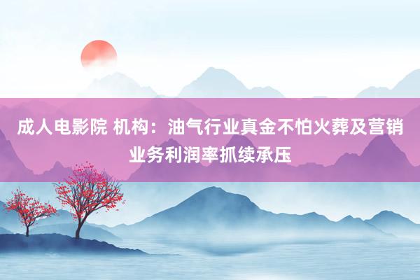 成人电影院 机构：油气行业真金不怕火葬及营销业务利润率抓续承压