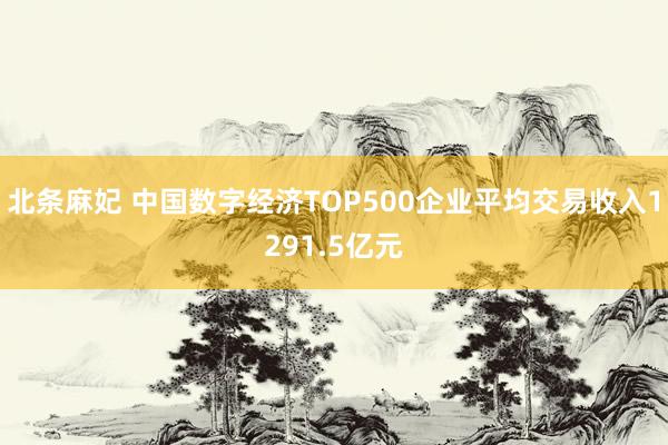 北条麻妃 中国数字经济TOP500企业平均交易收入1291.5亿元