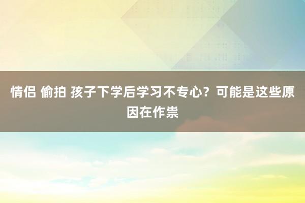 情侣 偷拍 孩子下学后学习不专心？可能是这些原因在作祟