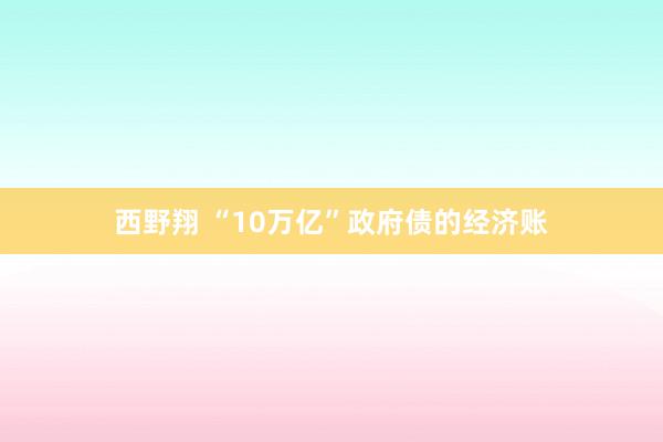 西野翔 “10万亿”政府债的经济账