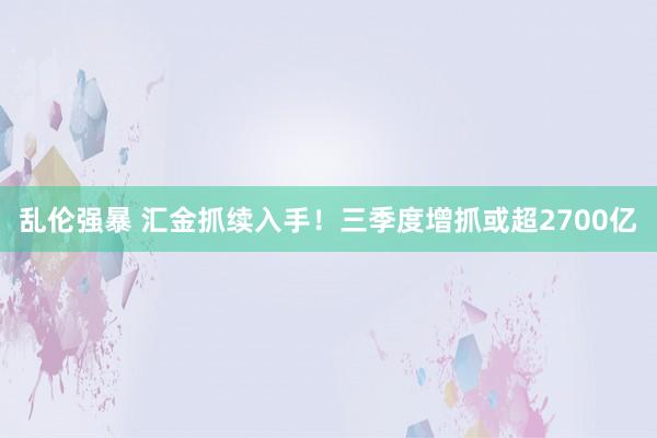 乱伦强暴 汇金抓续入手！三季度增抓或超2700亿