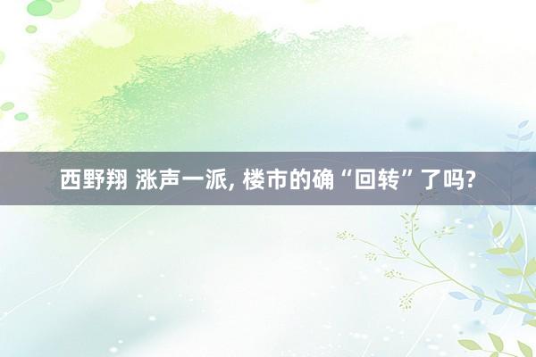 西野翔 涨声一派, 楼市的确“回转”了吗?