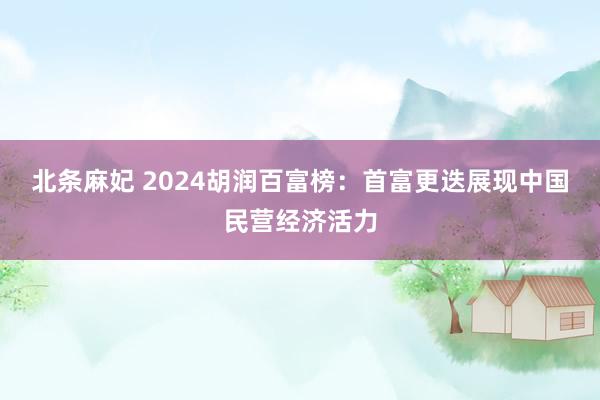 北条麻妃 2024胡润百富榜：首富更迭展现中国民营经济活力