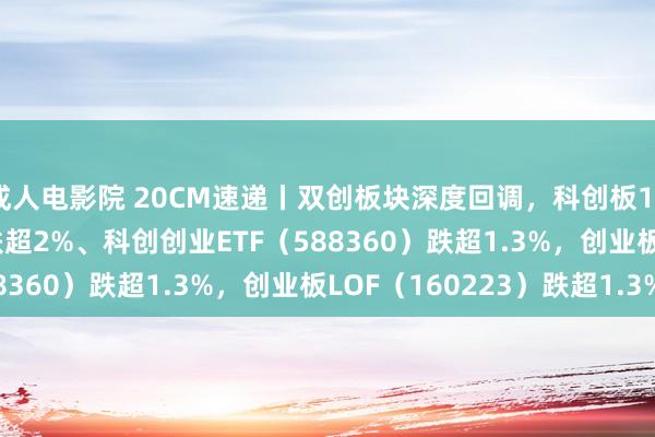 成人电影院 20CM速递丨双创板块深度回调，科创板100ETF（588120）跌超2%、科创创业ETF（588360）跌超1.3%，创业板LOF（160223）跌超1.3%