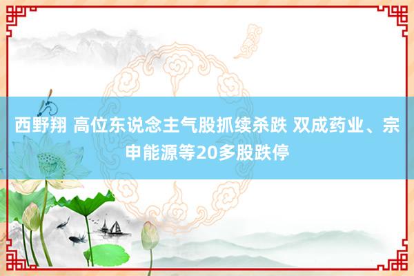 西野翔 高位东说念主气股抓续杀跌 双成药业、宗申能源等20多股跌停