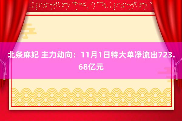 北条麻妃 主力动向：11月1日特大单净流出723.68亿元