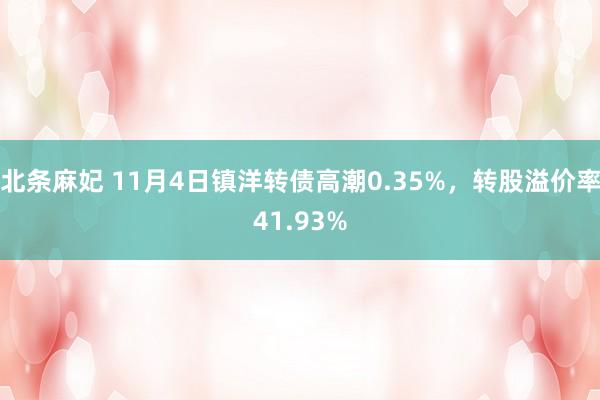 北条麻妃 11月4日镇洋转债高潮0.35%，转股溢价率41.93%