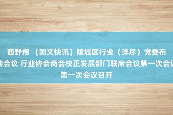 西野翔 【图文快讯】陵城区行业（详尽）党委布告鼓动会议 行业协会商会校正发展部门联席会议第一次会议召开