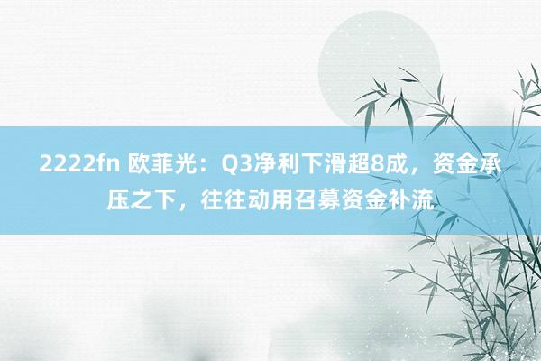 2222fn 欧菲光：Q3净利下滑超8成，资金承压之下，往往动用召募资金补流