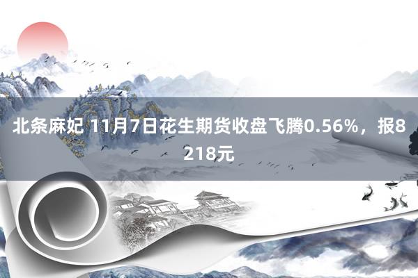 北条麻妃 11月7日花生期货收盘飞腾0.56%，报8218元