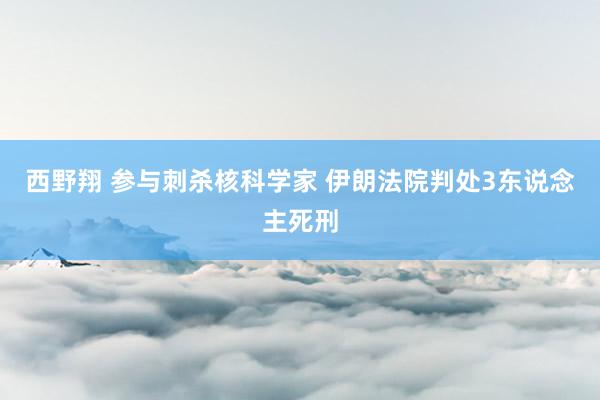 西野翔 参与刺杀核科学家 伊朗法院判处3东说念主死刑