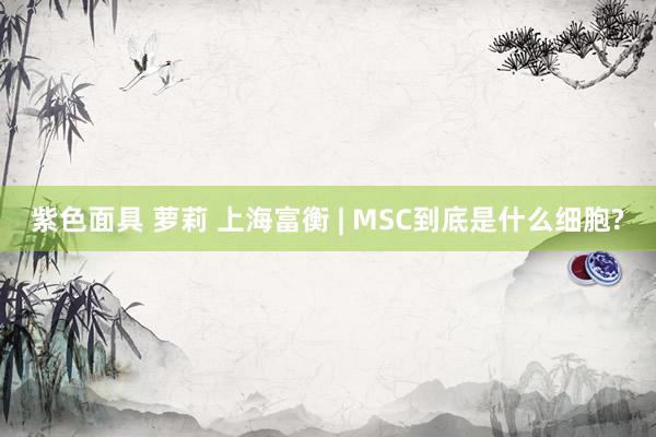 紫色面具 萝莉 上海富衡 | MSC到底是什么细胞?